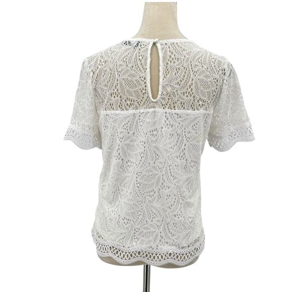 Laundry by Shelli Segal Cloverfield White Lace Overlay Feminine Blouse - Picture 6 of 14